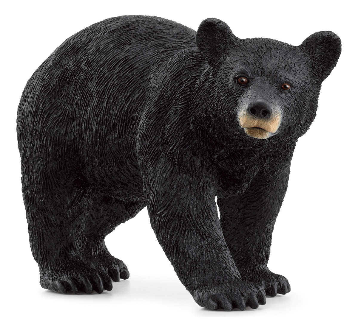 Figura Oso Negro Americano Schleich Wild Life Salvaje Trex