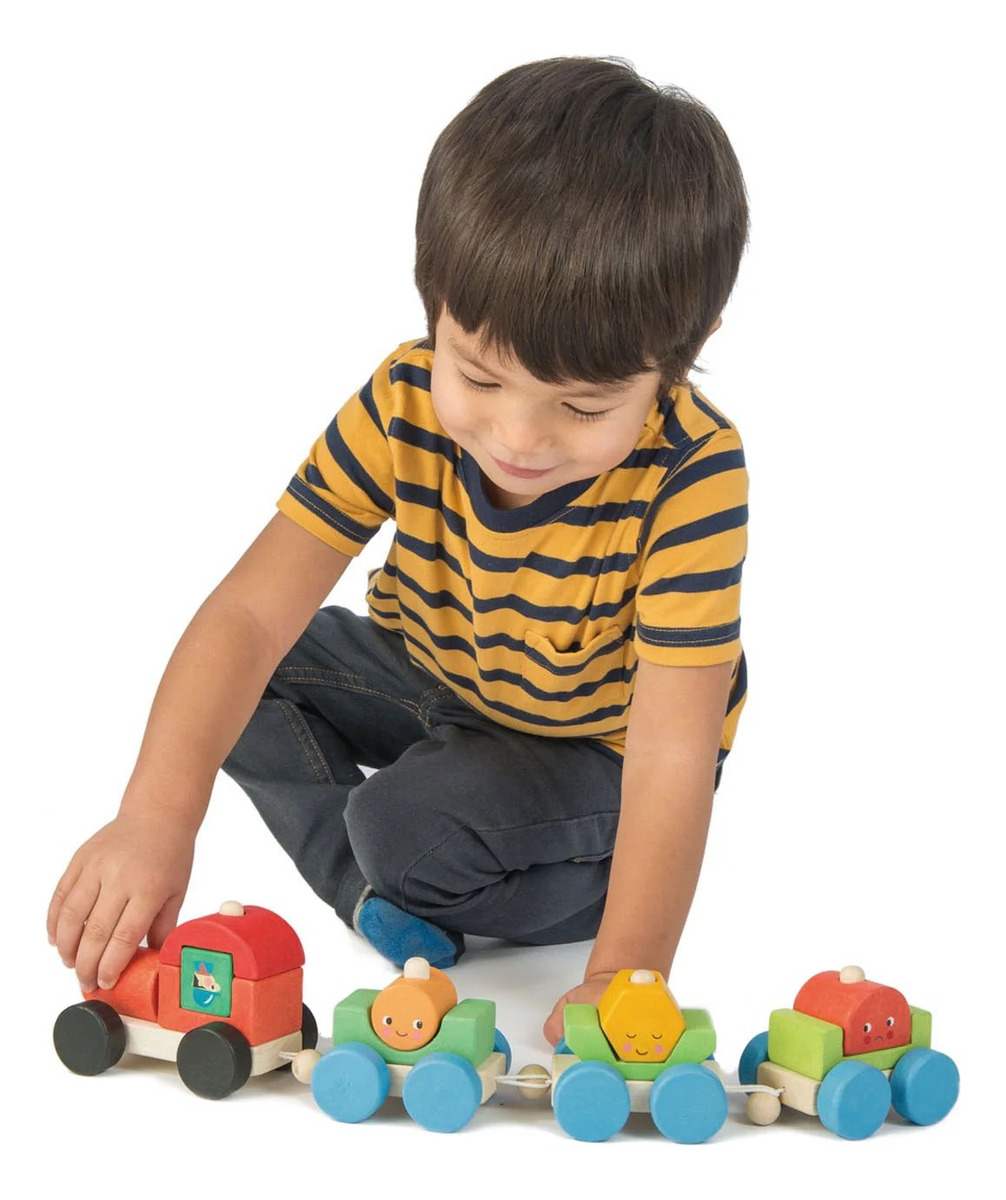 Tren Trenesito Desmontable Tender Leaf Madera Infantil Trex
