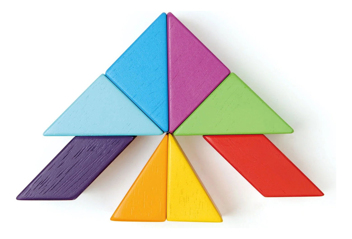 Bloques Magneticos Tender Leaf Creatividad Juguete Madera Tx
