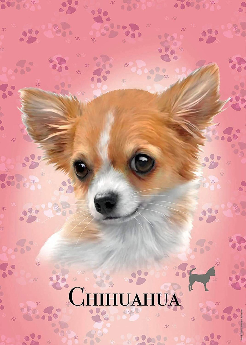 Puzzle 100 Piezas Perro Chihuahua Rompecabezas Educa Trex