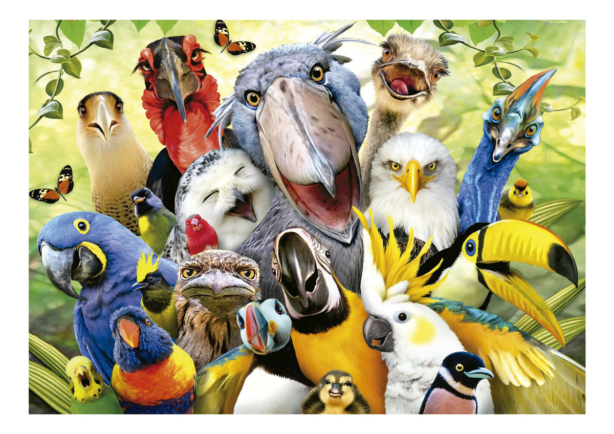 Puzzle Rompecabezas Mira Al Pajarito 500 Piezas Educa Trex