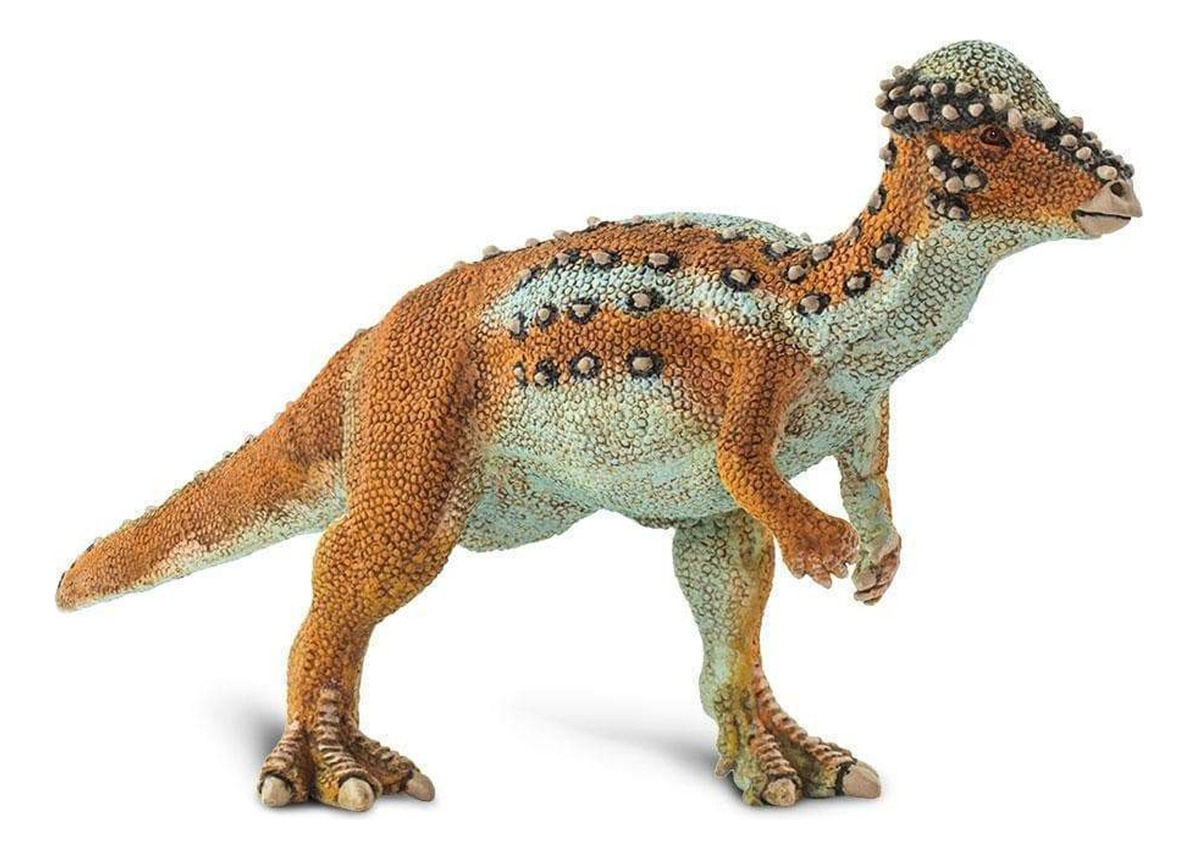 Juguete Safari Figura Dinosaurio Pachycephalosaurus Niño Tx