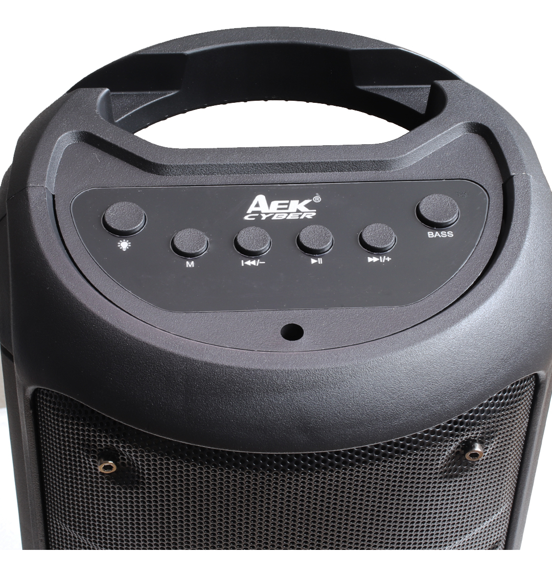 Parlante Portátil Luces Rgb Bluetooth Usb Karaoke Radio Trex
