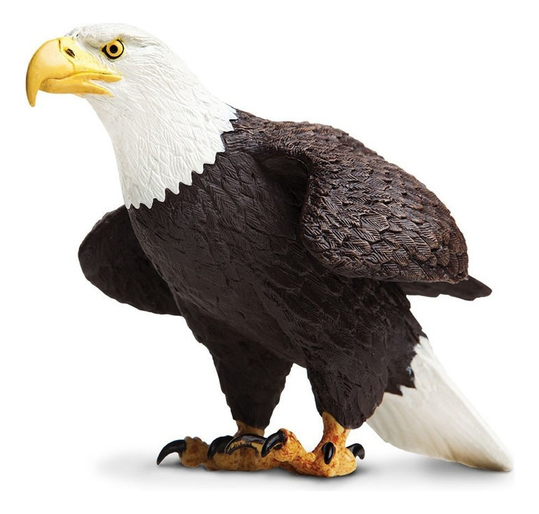Águila Calva Safari Figura Escala Niño Animal Realista Trex