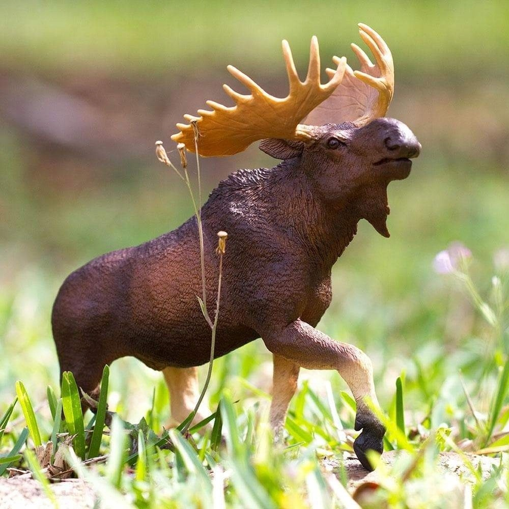 Alce Moose Safari Figura Colección Muñeco Realista Trex